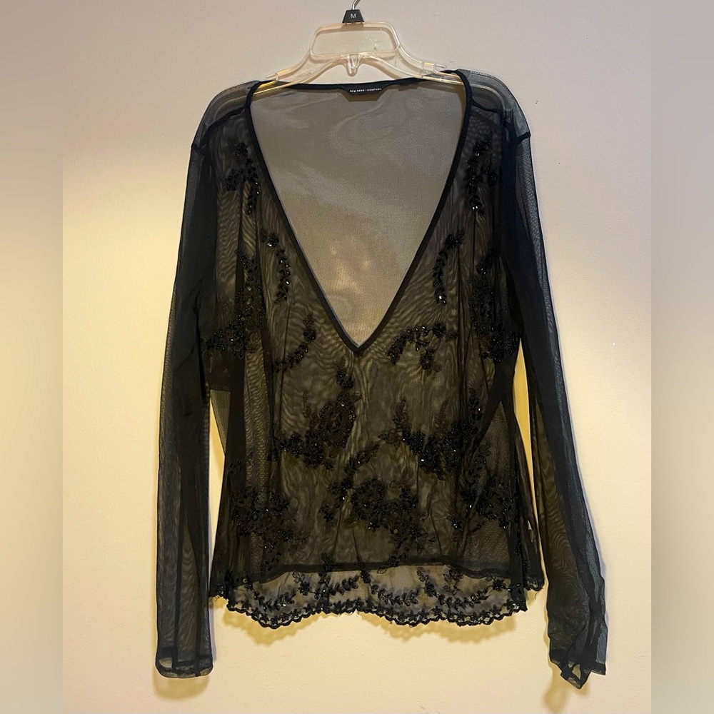 Beautiful black see through embroidered sequin blouse. The V-neck is long.